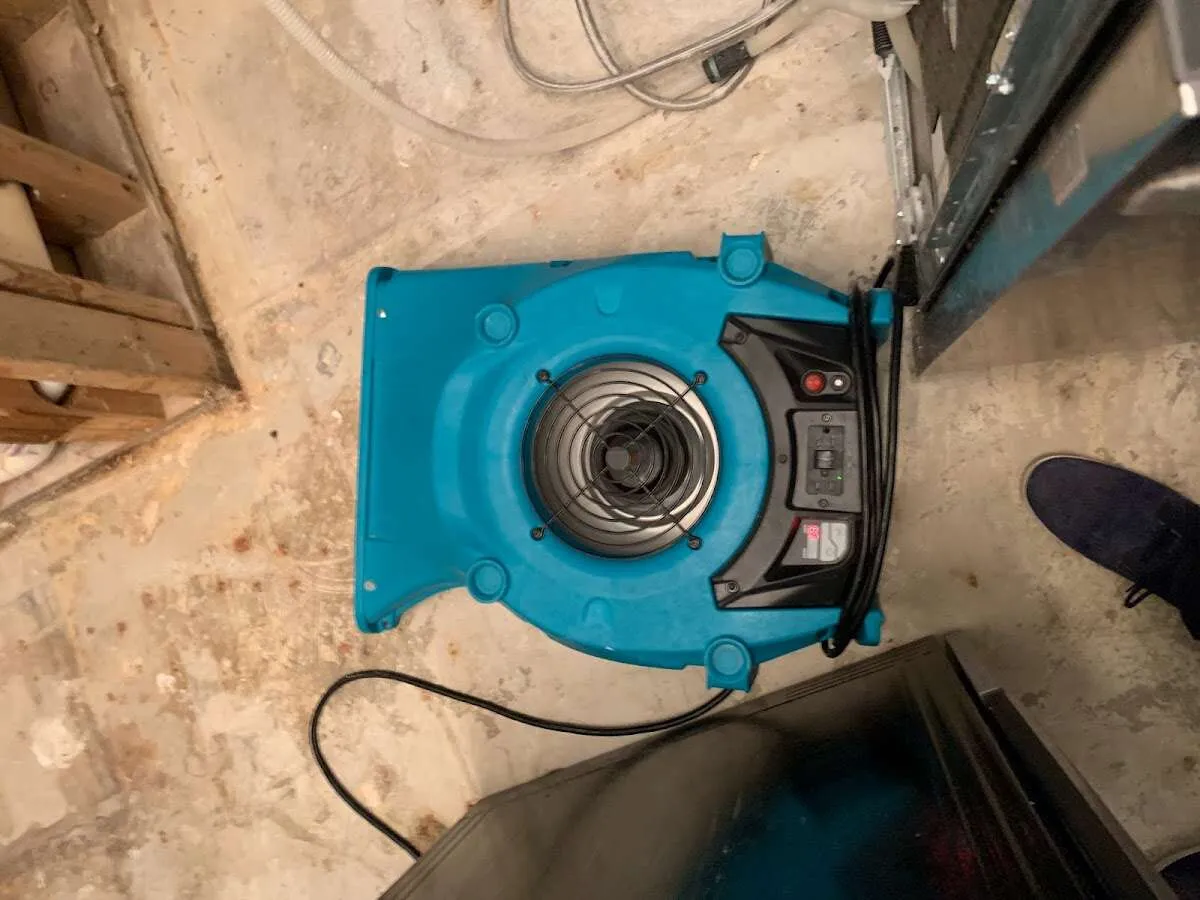 Air mover drying equipment for Mold Remediation & Removal in Waynesboro